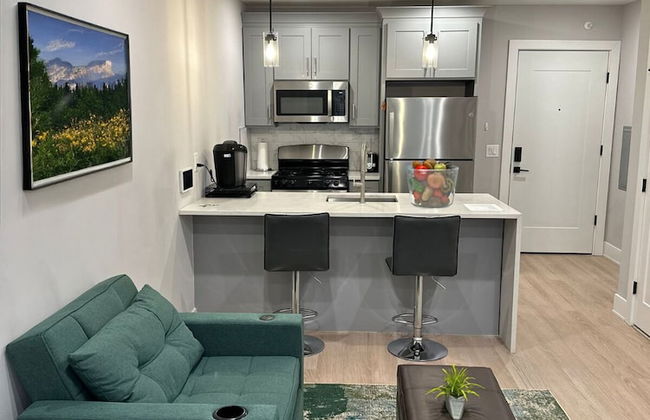 Modern 1BR 1BA Apartment - Foto 7