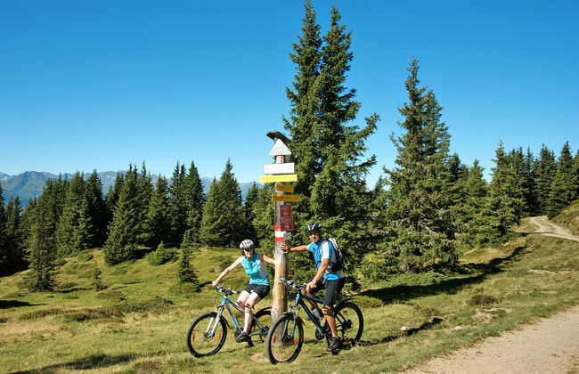 Bauernhof Gasteg (L) - Foto 60