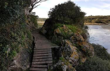 Casa do Canto - Uma casa no campo, perto da praia. - Foto 21