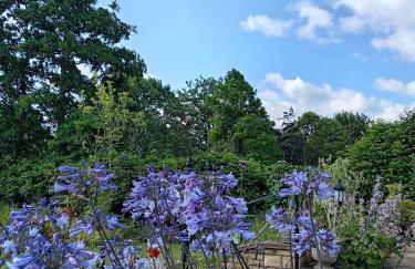 Room with a View - Photo 10