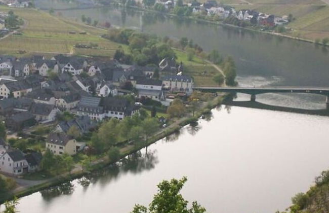 in Landhuisstijl met Uitzicht op de Moezel - Photo 28