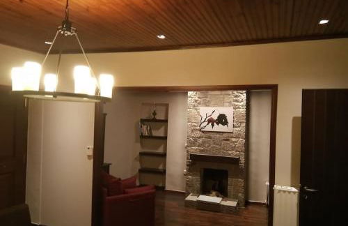 Τείχιο Πατρικό - Tihio Patriko - Πέτρινη κατοικία - Foto 36