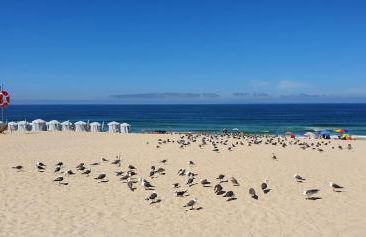 Big Fish 1 - Charming Beach Apartment - Foto 32