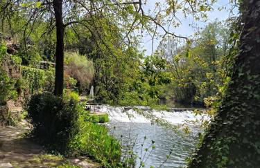 CASA DO ARCO - BARCELOS - Foto 14