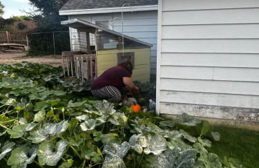 Little house in the alley - Foto 21