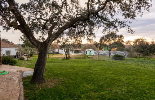 La Platea Rural - Foto 16