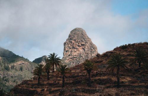 Rincón del Mercado - Foto 22