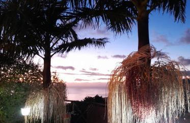 Casa dos Avos - Photo 44