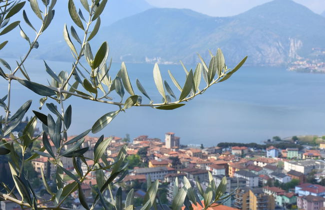 Villa Romele - Photo 6