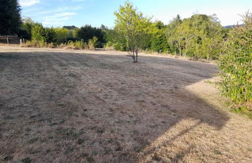 La cantinière - Foto 21