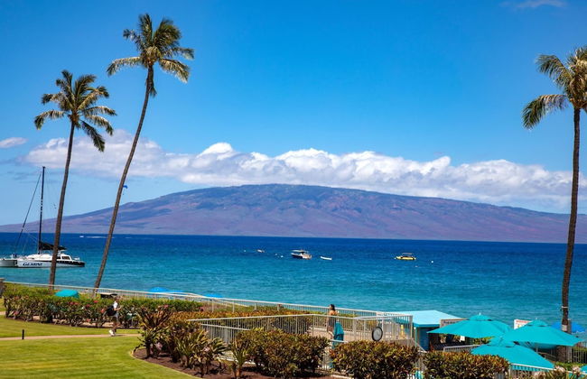 The Whaler by KBM - Foto 55