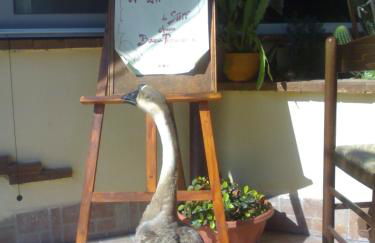 Aia di Lazzaro Agriturismo - Foto 47