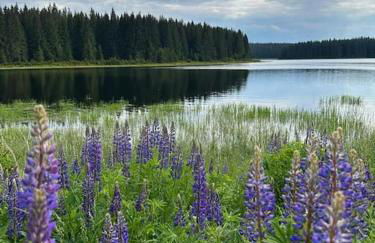 The Bridge - between NewZealand & OreMountains - Foto 55