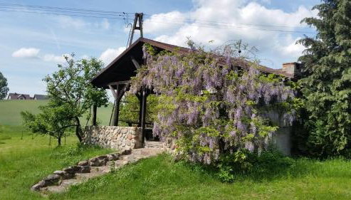 Agroturystyka Szafarnia 19 - Foto 2, Garden