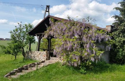 Agroturystyka Szafarnia 19 - Foto 2