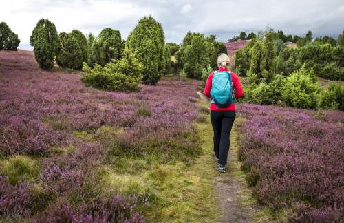 Ferienwohnung Heide View - Foto 42