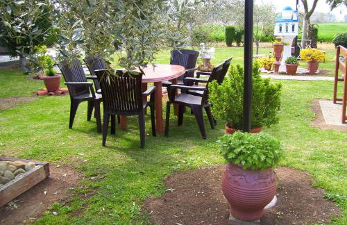 Verginia Studios - Photo 8