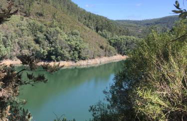 Canto do Zêzere, Sertã, Dornes, Castelo do Bode - Foto 46