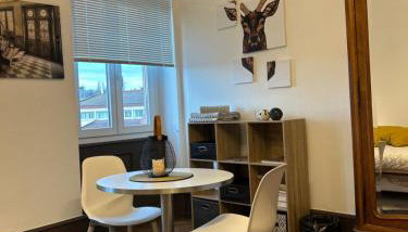 Grande chambre élégante Les Chambres Bannacker 25 m2 Centre à pied - Foto 2