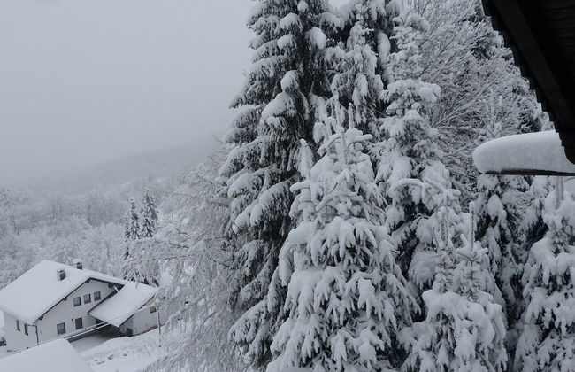 Wohnung in Zenting mit Garten - Foto 15