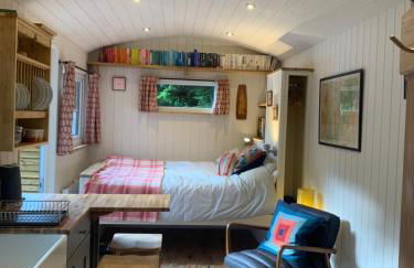 Shepherd’s delight - Foto 18