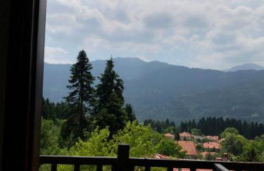 Panorama Elati - Foto 8