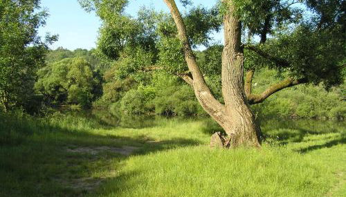 Ferienwohnung Am Alten Berg - Foto 3