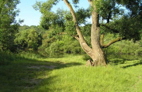 Ferienwohnung Am Alten Berg - Foto 3