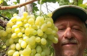 Vacation House a Mola di Bari - Foto 54