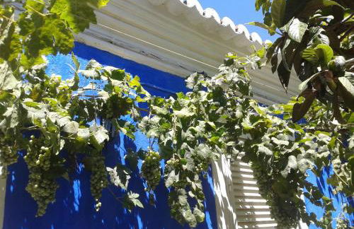 Quinta da Fornalha - Santuario Agroecologico - Foto 37