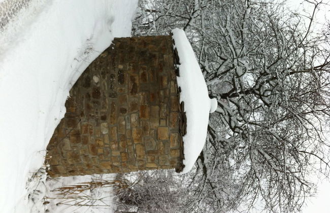 Agriturismo Azienda Agricola Bortolotti - Foto 35