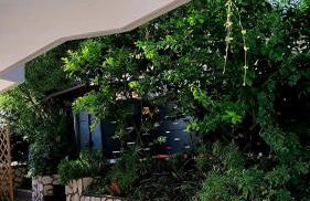 E s s e n t i a l Pompei - Foto 42