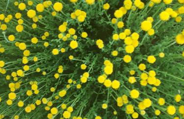 Case de Campo "El Caroche" Alojamientos, Retiros y Eventos - Foto 58