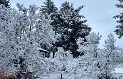 Chalet dell'Orso - Foto 6