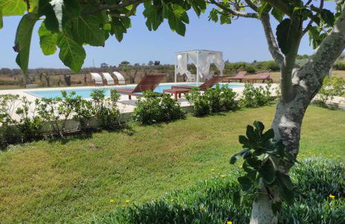 Masseria Vignenove - Foto 49