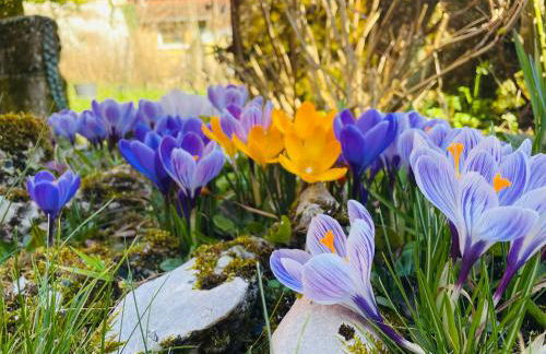 Maison et Jardin Le 14 à Auxerre - Confort et Détente - Foto 57