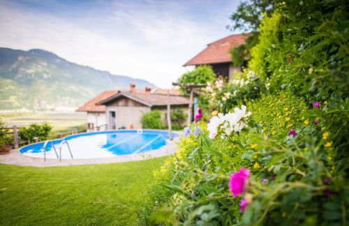 Weingut Pardellerhof - Foto 37