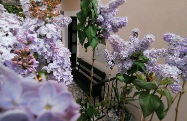 STAR of the SEA 2 - Photo 44