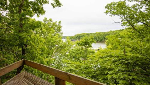 Treetop Village-3Bed3BathPoolsDock8PP - Foto 5