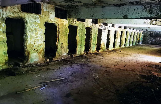 Tour por Abraão, la playa Preta y el Acueducto de Ilha Grande - Foto 6