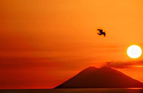 Villa Anna Maria - Foto 9