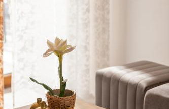 House Draganis - Foto 68