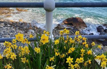 Corvus - Beautiful cottage half a mile from Mousehole - Photo 60