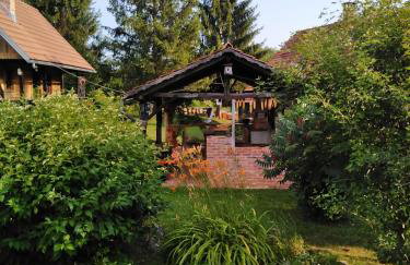 Dorina hiža - Foto 47