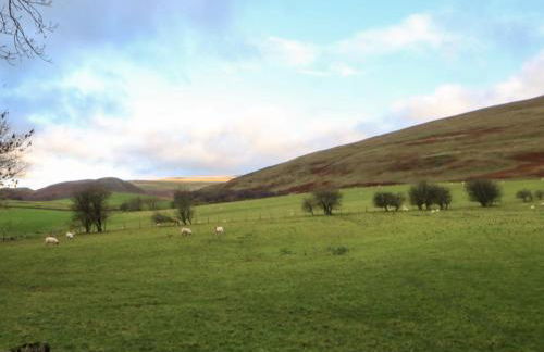 Rum Bush Cottage - Foto 33