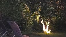 Aloe Apartment in Epidaurus - Foto 5, Garden