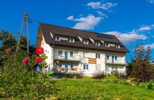 Agroturystyka Sikorki - Foto 23