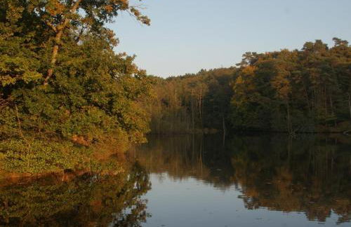 Gîte en pleine nature avec Wifi, animaux acceptés - FR-1-489-122 - Foto 32