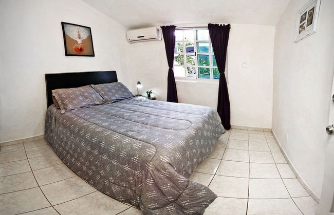 HominngBird - Foto 2