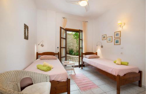 Bougainvillea - Foto 16